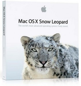 snow-leopard