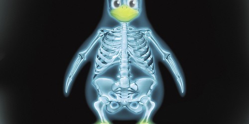 544506099_f629e1fd69