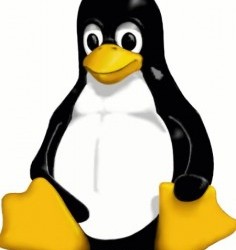 linux-tux-large-236x300