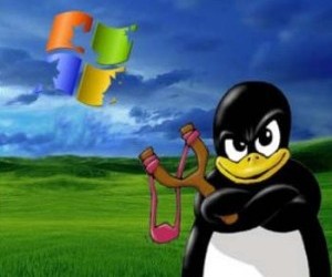 tuxdrestoywin